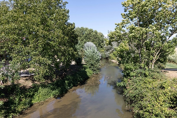 rivière à Condamine