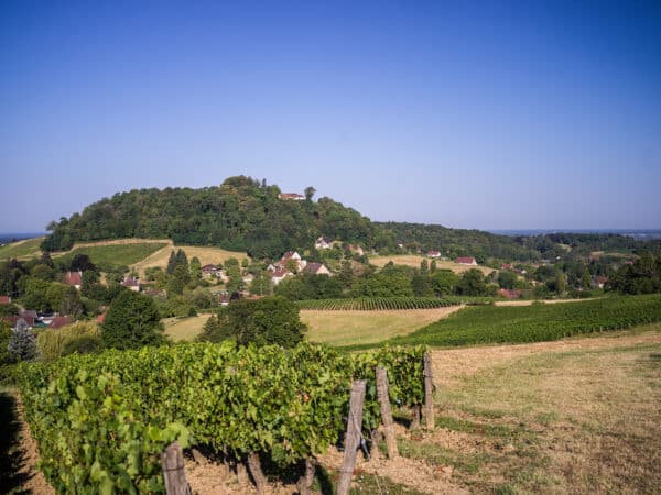 Tourisme Lons-le-Saunier Jura : paysages de vignes à l'Étoile