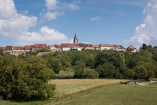 Tourisme Lons-le-Saunier Jura : vue générale de Montaigu