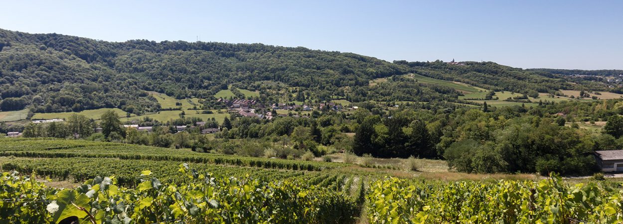 Tourisme Lons-le-Saunier Jura : Vue du vignoble depuis la Voie verte à Perrigny