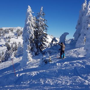 Tourisme Haut-Jura : sapins enneigés et ski