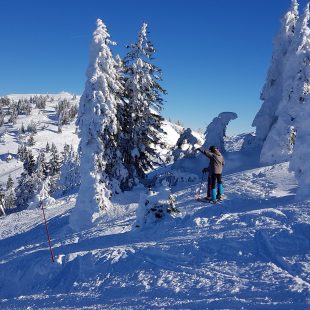 Tourisme Haut-Jura : sapins enneigés et ski