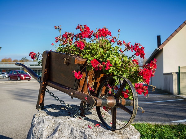 Tourisme Lons-le-Saunier Jura : décoration florale