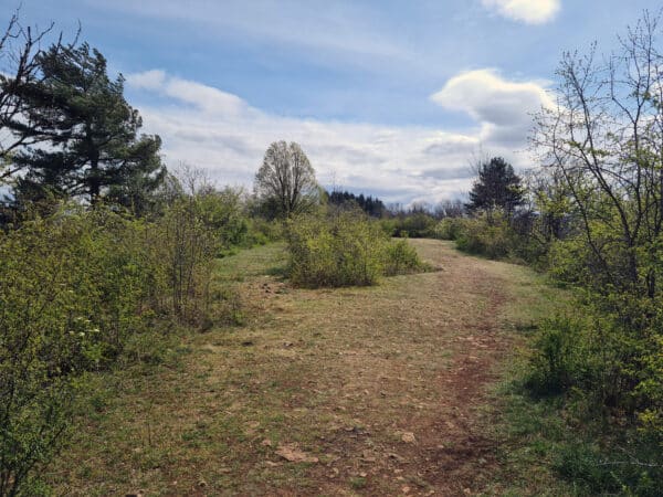 Tourisme Lons-le-Saunier Jura : prairie sèche sur le plateau de Mancy, réserve naturelle