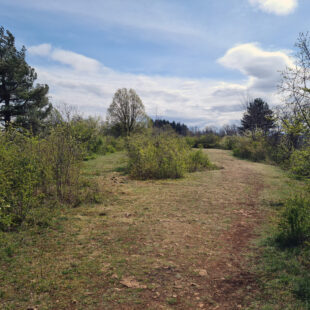 Tourisme Lons-le-Saunier Jura : prairie sèche sur le plateau de Mancy, réserve naturelle