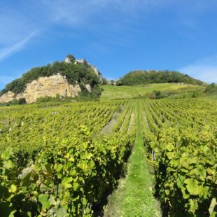 Tourisme Lons-le-Saunier Jura : Château-Chalon