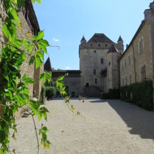 Tourisme Lons-le-Saunier Jura : Château du Pin, cour et donjon