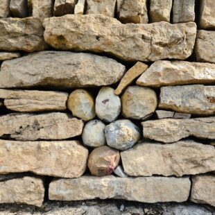 Tourisme Lons-le-Saunier Jura : vignes à Montaigu, mur en pierres sèches
