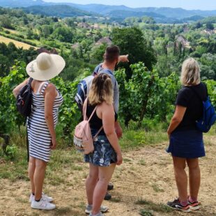 Tourisme Lons-le-Saunier Jura : Balade dans les vignes à l'Étoile dans le Jura