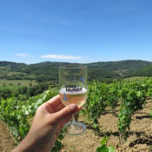 Tourisme Lons-le-Saunier Jura : Balade dégustation dans les vignes de Montaigu, Jura